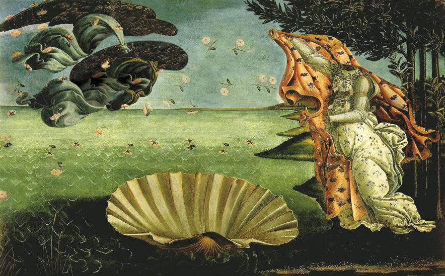 Design Photoshop par juices37 pour DesignCrowd (Community Contests) | Design #9065530