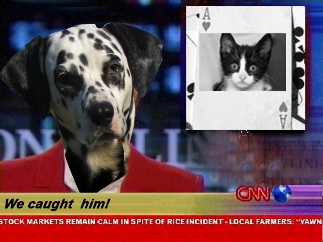 Photoshop Design by gyuval13 for DesignCrowd (Community Contests) | Design #9057780