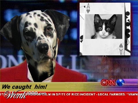 Photoshop design by gyuval13 for DesignCrowd (Community Contests)