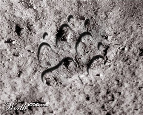 Photoshop Design by Einherjar