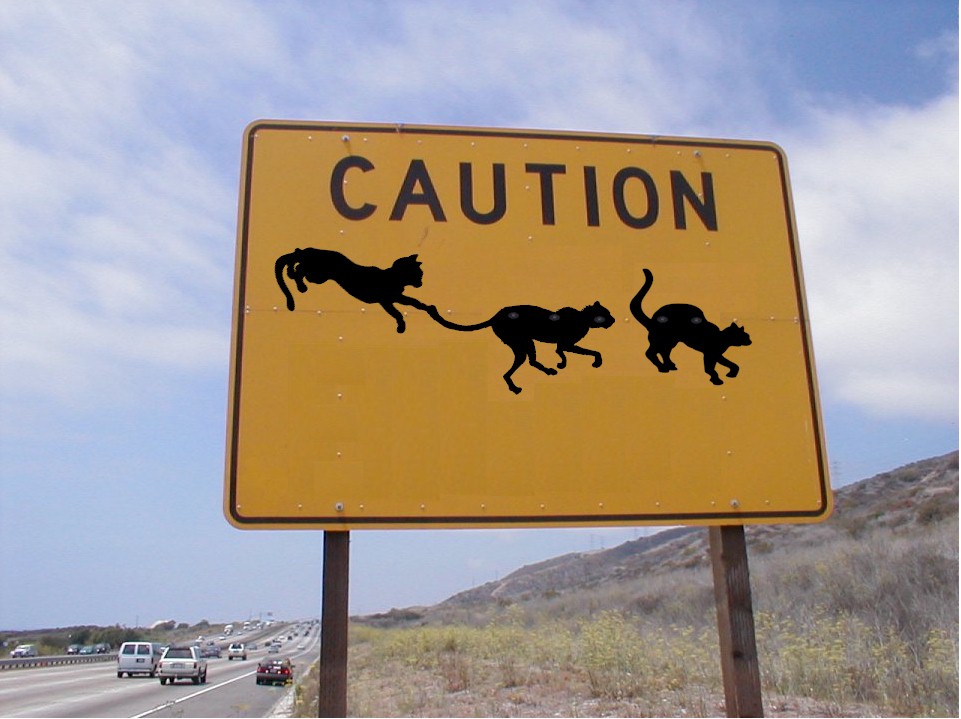 Photoshop Design by teego56 for DesignCrowd (Community Contests) | Design #9057809