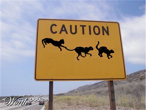 Photoshop design by teego56 for DesignCrowd (Community Contests)