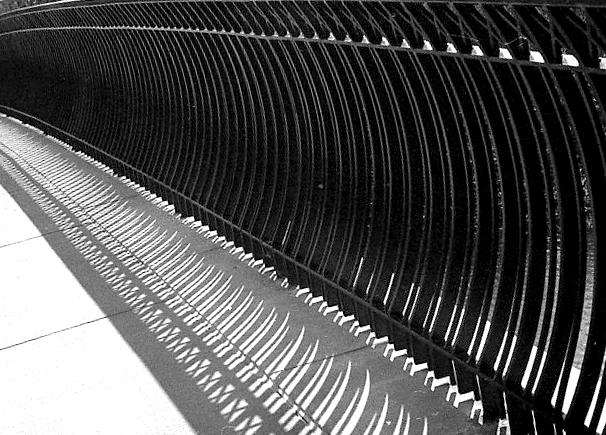 Photographie par dylder pour DesignCrowd (Community Contests) | Design #9055974