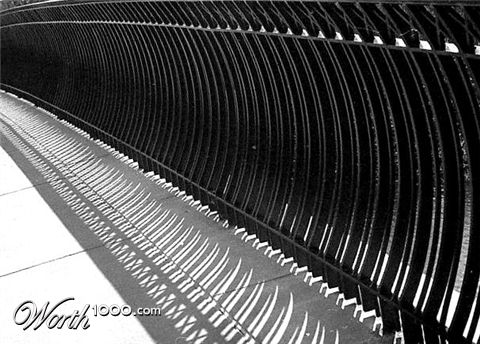 Photography by dylder