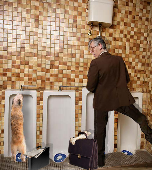 Photoshop Design by diva38 for DesignCrowd (Community Contests) | Design #9057828