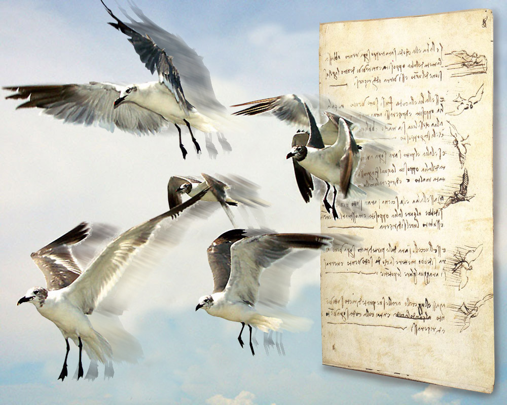 Diseño de Photoshop por EyEars para DesignCrowd (Community Contests) | Diseño #9065013