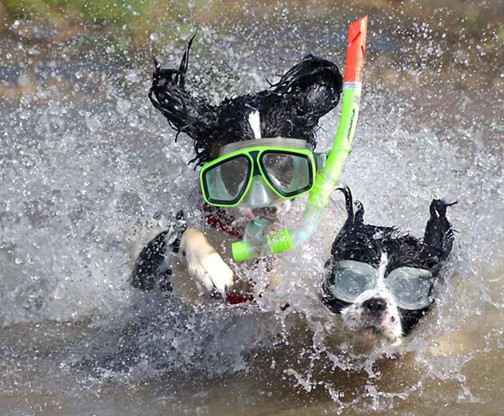 Photoshop Design by EyEars for DesignCrowd (Community Contests) | Design #9057819