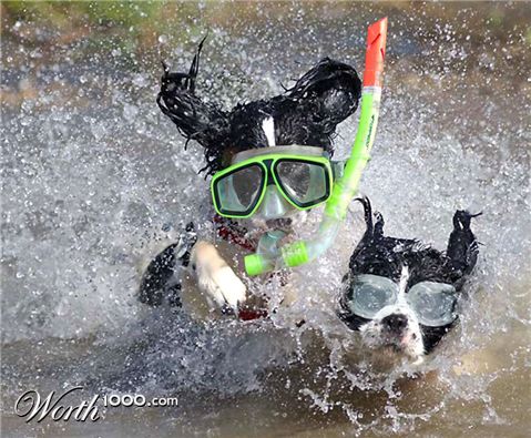 Photoshop Design by EyEars