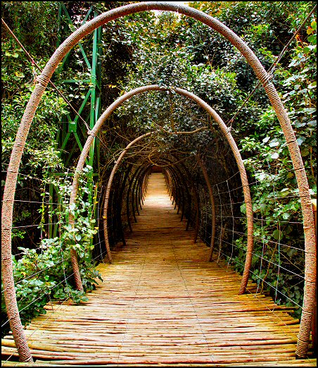 Photography by Juicer for DesignCrowd (Community Contests) | Design #9057613