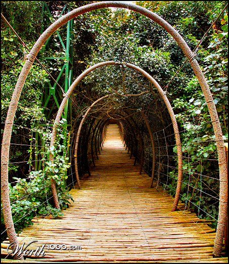 Photography by Juicer