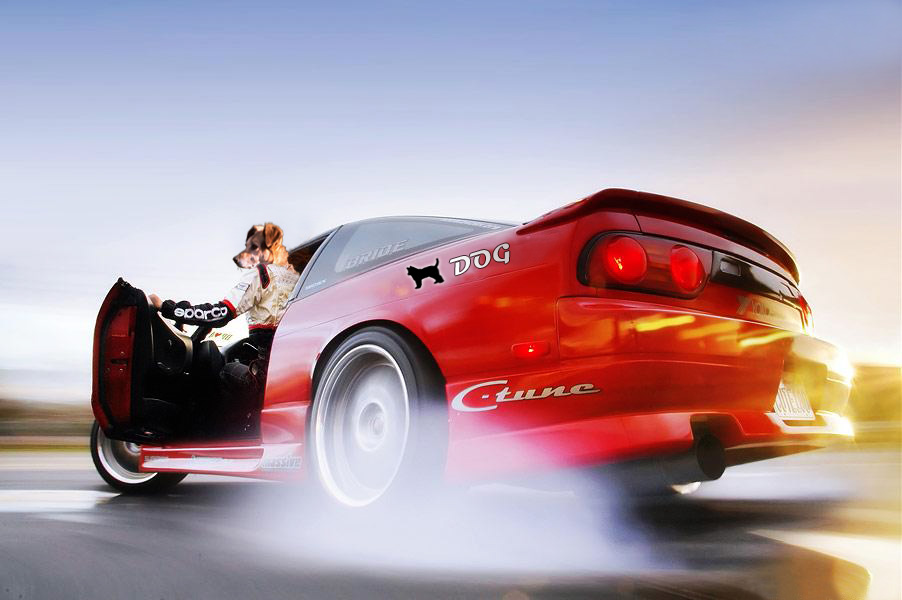 Photoshop Design by kelvinsam for DesignCrowd (Community Contests) | Design #9057865
