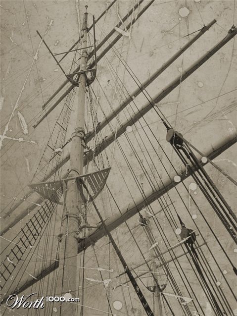 Photography by greenjesus