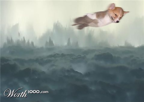 Photoshop Design by pgaffney