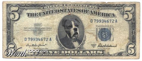 Photoshop Design by photoshut