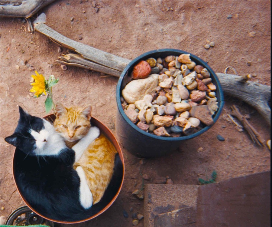 Photography by Lens2world for DesignCrowd (Community Contests) | Design #9044813