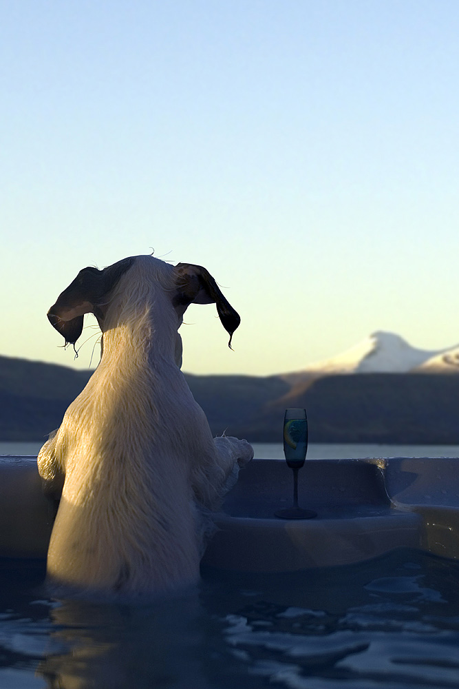 Design Photoshop par Robert2006 pour DesignCrowd (Community Contests) | Design #9057847