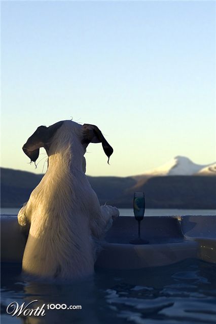 Photoshop Design by Robert2006