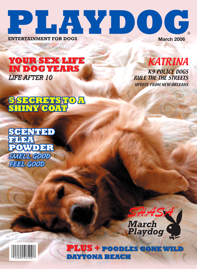 Photoshop-Design von corwin1 für DesignCrowd (Community Contests) | Design #9057907