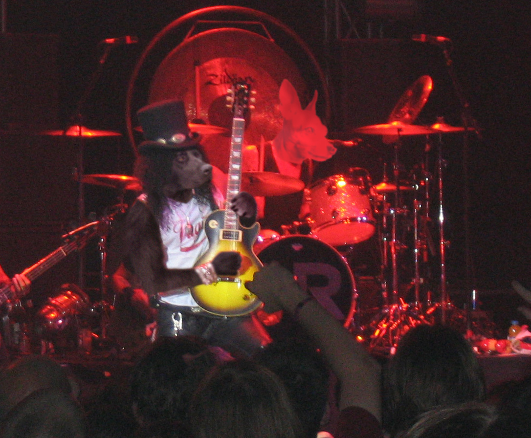 Photoshop-Design von Zootslash für DesignCrowd (Community Contests) | Design #9057976