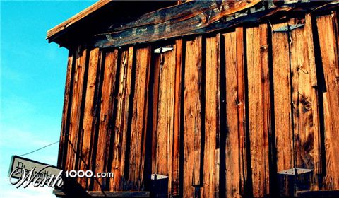 Photography by tlovesd