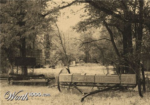 Photography by tlovesd