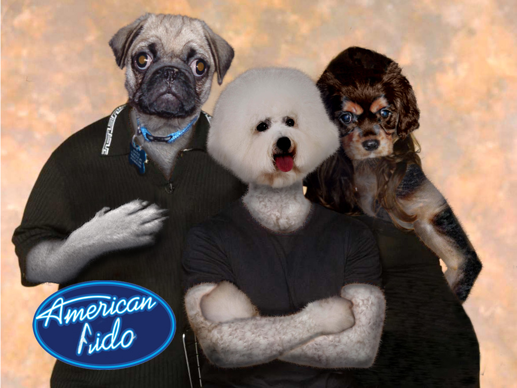 Photoshop Design by tjroland for DesignCrowd (Community Contests) | Design #9057958