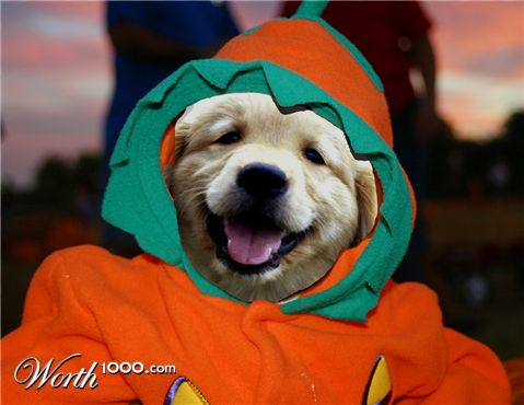 Photoshop Design by bottler
