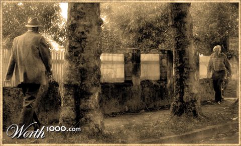 Photography by markusuetz