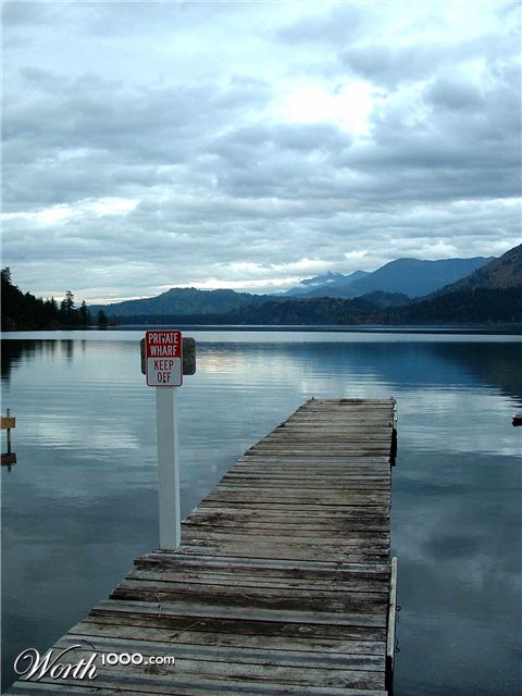 Photography by shaunjohnwood