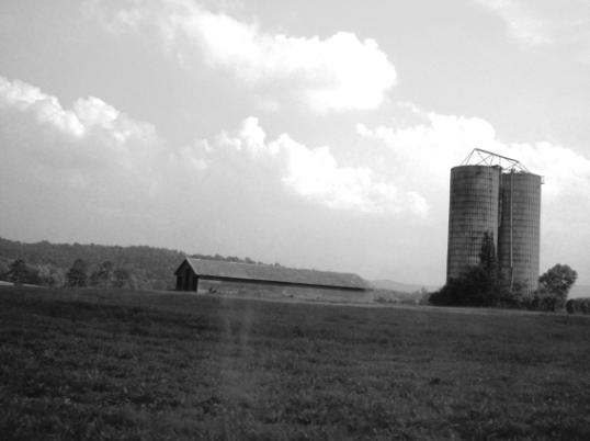 Photography by cgm535 for DesignCrowd (Community Contests) | Design #9060369