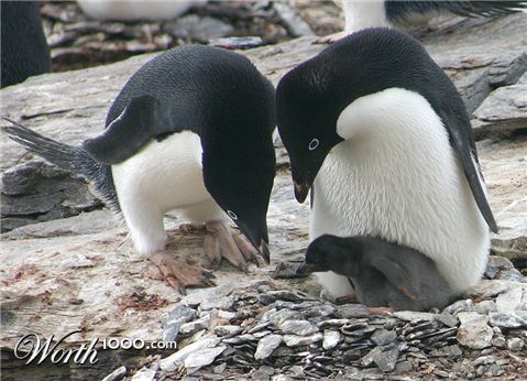 Photography by imagex