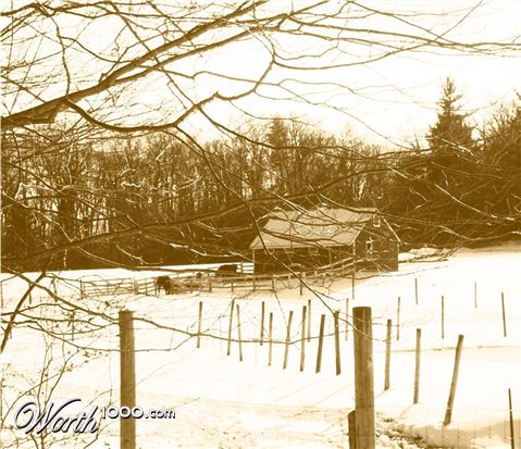 Photography by miarose59