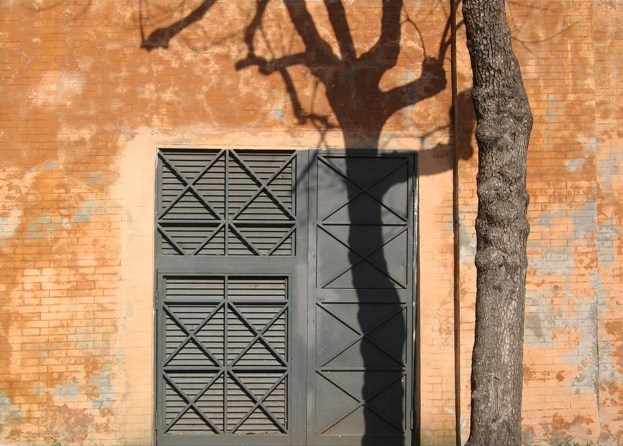 Fotografía por Limitchik para DesignCrowd (Community Contests) | Diseño #9052887