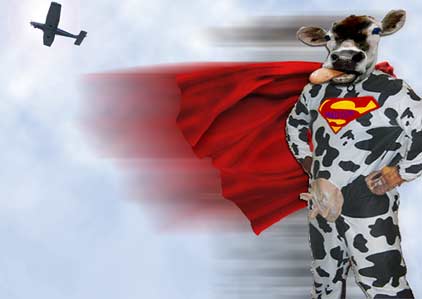 Photoshop-Design von genevieveps für DesignCrowd (Community Contests) | Design #9054017