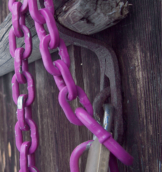 Photography by Reconban for DesignCrowd (Community Contests) | Design #9052869