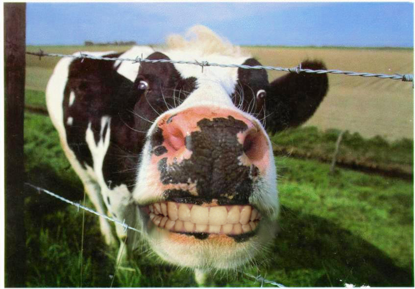 Design Photoshop par KebMo pour DesignCrowd (Community Contests) | Design #9054046