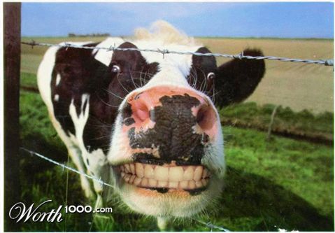 Photoshop Design by KebMo