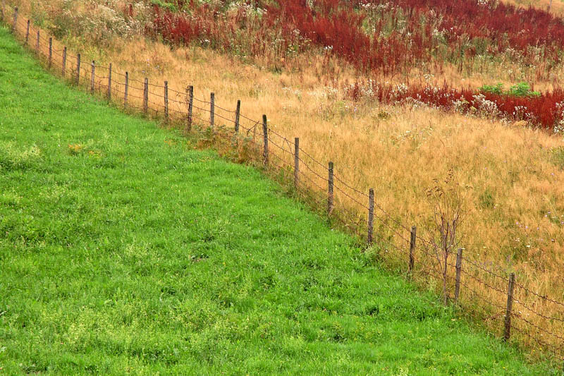 Photography by attacker for DesignCrowd (Community Contests) | Design #9044840