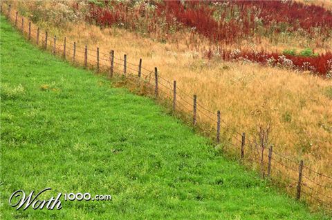 Photography by attacker