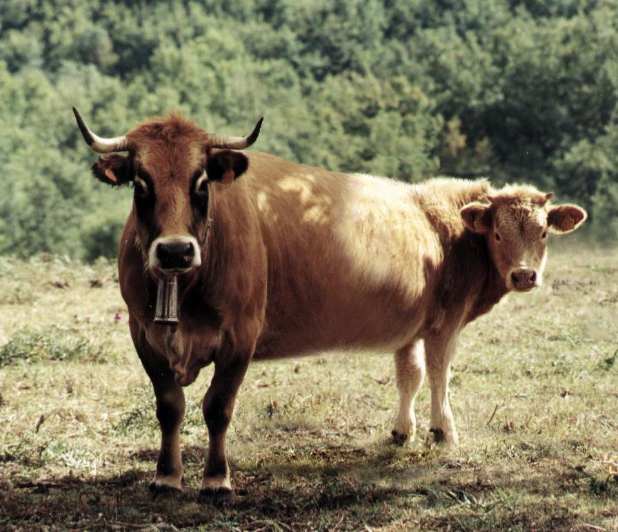 Photoshop Design by sugarcane for DesignCrowd (Community Contests) | Design #9054056