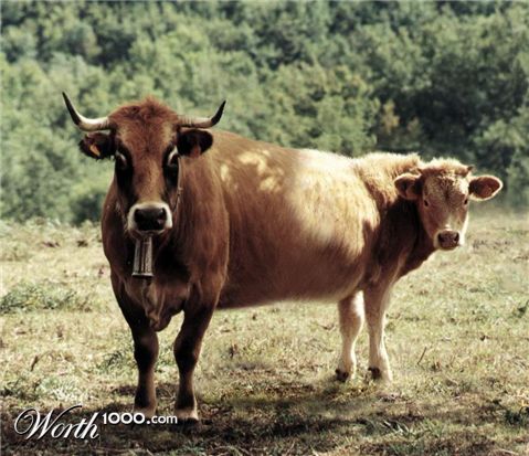 Photoshop Design by sugarcane