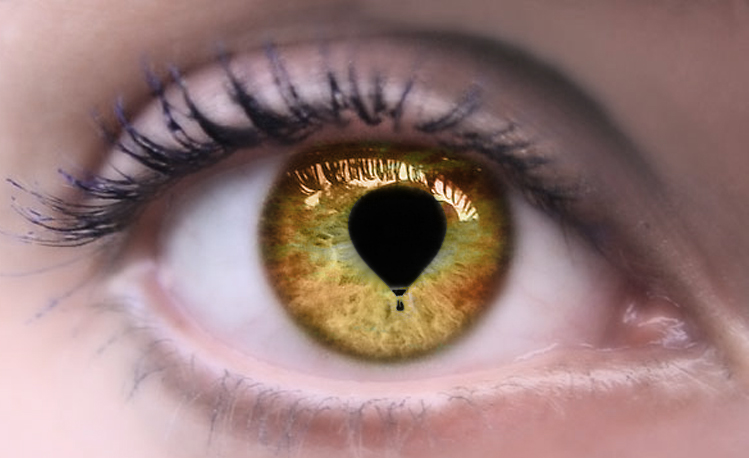 Photoshop Design by whitebread1440 for DesignCrowd (Community Contests) | Design #9056233