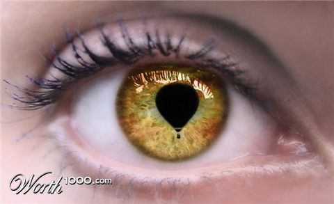 Photoshop Design by whitebread1440