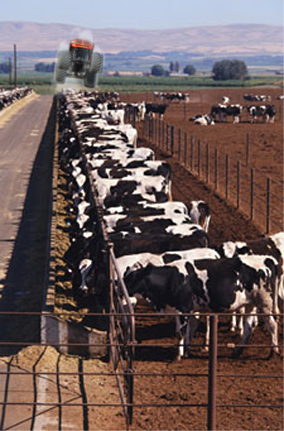 Design Photoshop par TheJordi pour DesignCrowd (Community Contests) | Design #9054128