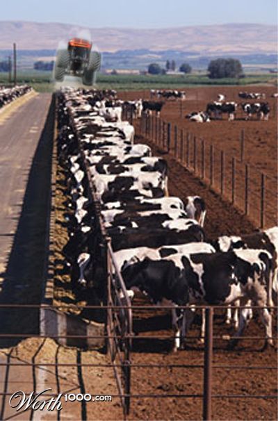 Photoshop Design by TheJordi