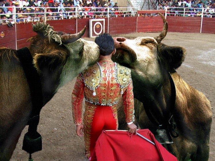 Diseño de Photoshop por Louweasel para DesignCrowd (Community Contests) | Diseño #9054083