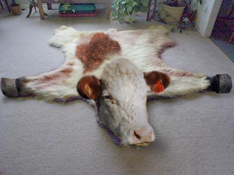 Photoshop Design by armartinell for DesignCrowd (Community Contests) | Design #9054106