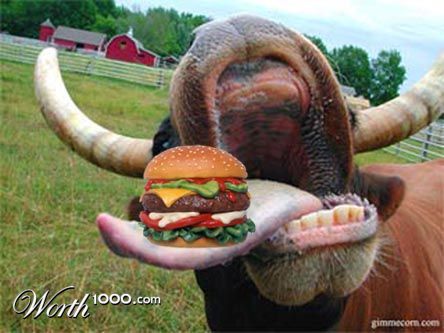 Photoshop Design by Patdahliamurder