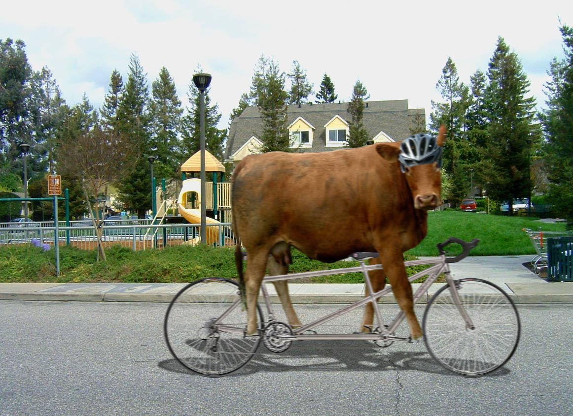 Photoshop Design by EvilRabbit2 for DesignCrowd (Community Contests) | Design #9054169