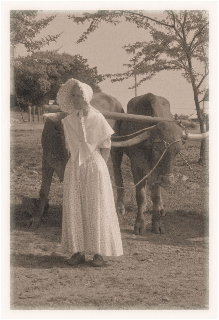 Photography by lynvdg for DesignCrowd (Community Contests) | Design #9060423